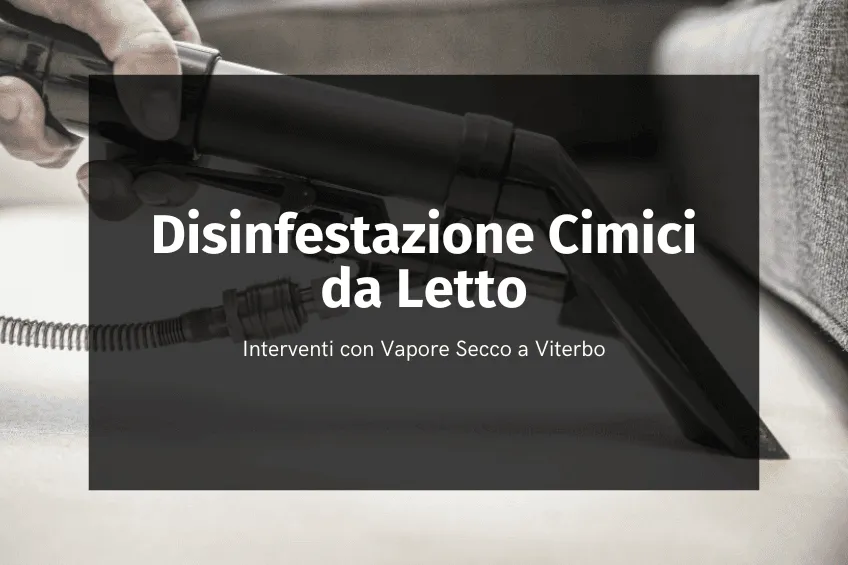 Disinfestazione cimici da letto con vapore secco