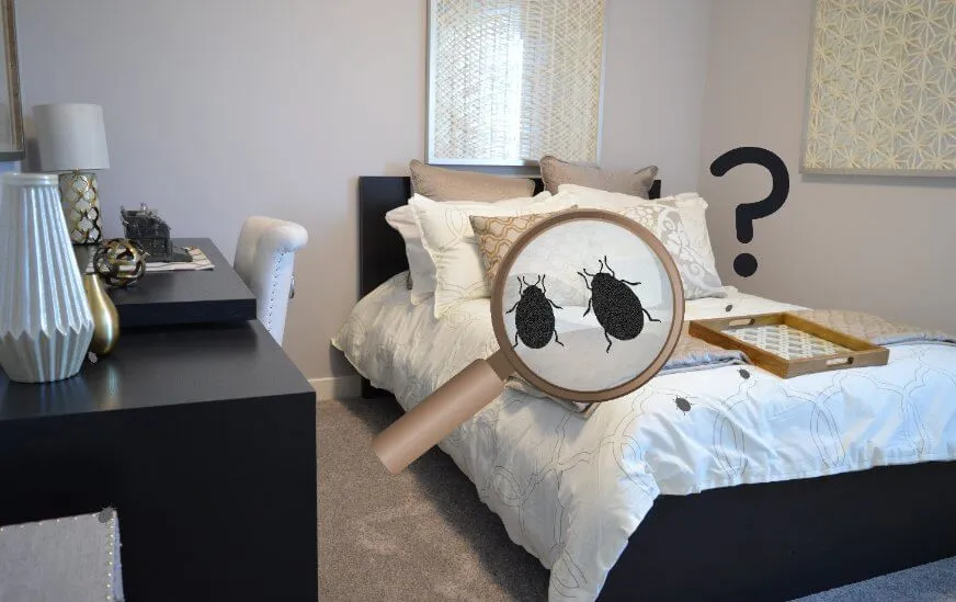 infestazione di cimici da letto