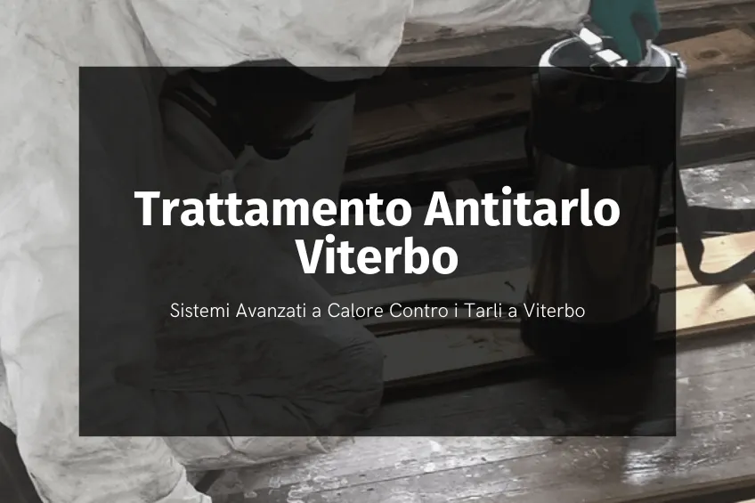 Trattamento antitarlo a calore Viterbo