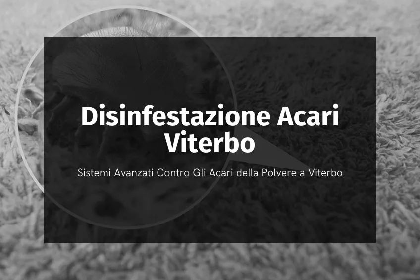 disinfestazione acari Viterbo