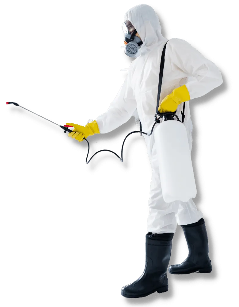 Tecnico Disinfestatore di Capranica