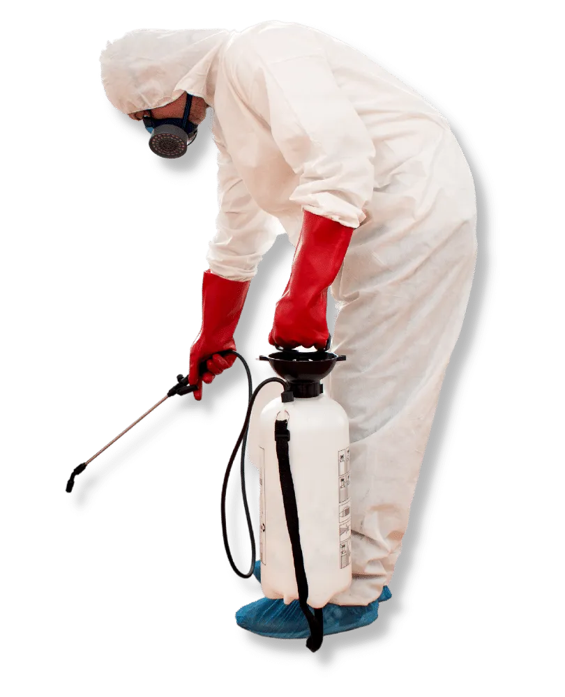 Disinfestatore di Calcata