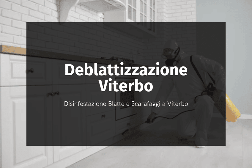 deblattizzazione Viterbo - per privati e aziende
