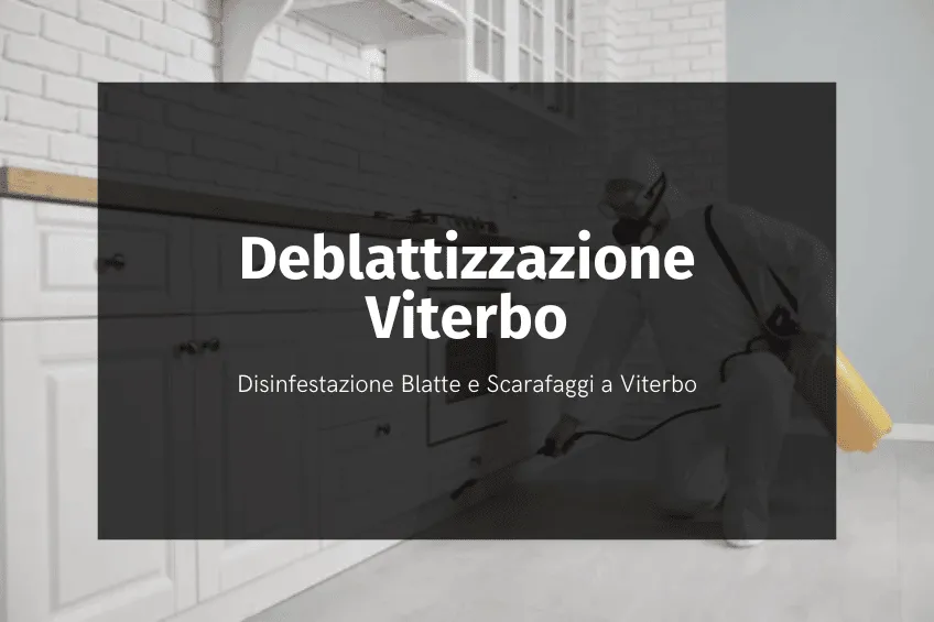 deblattizzazione Viterbo - per privati e aziende