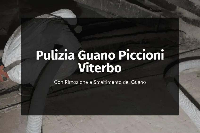 pulizia guano piccioni viterbo